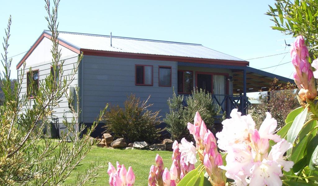 Highland Cabins And Cottages At Bronte Park Bilik gambar